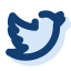 Social and online logos icon 64x64